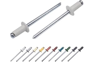Marcopol Confezione da 100 rivetti ciechi verniciati, 3,2 x 8 mm, testa a cupola, DIN 7337, rivetti in alluminio e mandrino in acciaio, rivetti pop (100, grigio bianco RAL 9002)