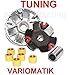 Produktbild Unbranded Sport Racing Tuning VARIOMATIK KIT Satz für China Roller 50 4 TAKT 139QMB Motor Zylinderkit
