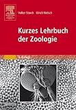 Image de Kurzes Lehrbuch der Zoologie