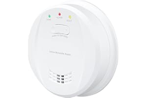 HOMELYLIFE Kohlenmonoxid Melder Batteriebetrieb, 10-Jahr CO Melder mit Austauschbarer 5-Jahr Batterie, EN50291 Zertifiziert Kohlenmonoxid Warnmelder Lauter 85 Db Alarm für Haus Sicherheit