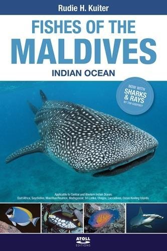 Preisvergleich Produktbild Fishes of the Maldives: Indian Ocean