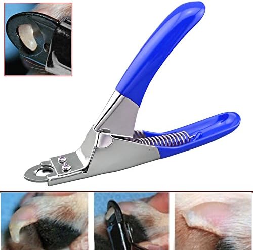 Stainless Steel Dog Cat Pet Nail Birds Guinea Pig Animal Toe Claw Clippers Trimmers Scissors Cutter Tool Set (Blue)