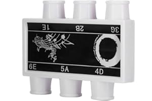 DILWE Accordeur de guitare, diapason en plastique tonalité E B G D A E avec étui de transport pour guitare