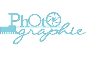 LA CABINA DEMIAWAKING Demiawaking Dies Scrapbooking, Matrices de Découpe en Acier au Carbone Cutting Die DIY Gaufrage Pochoirs Découpage pour Card Album Photo Fête Anniversaire Mariage Photo graphie 158 * 62mm