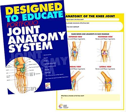 Chartex Joint Anatomy System Manual