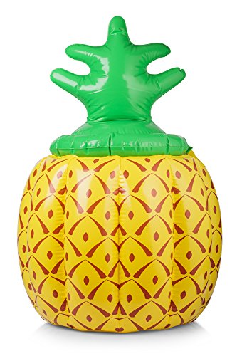 Preisvergleich Produktbild Solar – Ananas Eiswürfelbehälter, 29668