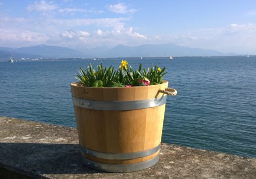 Blumentopf, Blumenkübel aus Eichen-Holz – Fass, Holzfass als Pflanzkübel – Weinfass, Bottich, Holzkübel (D30 bis D60) mit Schlaufen (D40 H35 mit Schlaufen) - 7