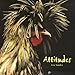 Attitudes by 