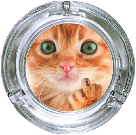 iPartyHard Kitten Finger Glass Ashtray, Clear