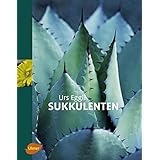 Sukkulenten -
