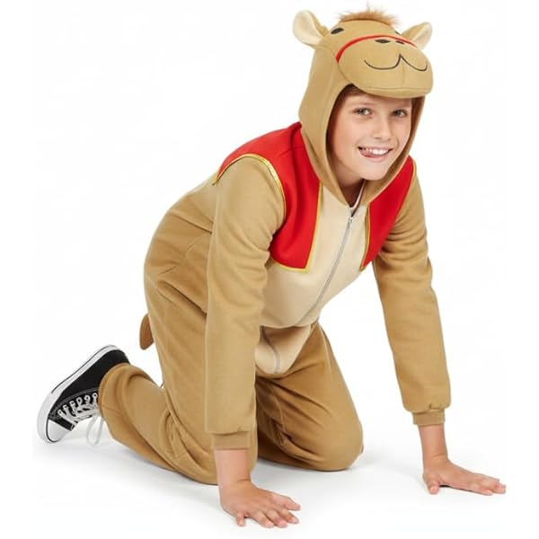 Hello, Maybe Someone Has A CAMEL COSTUME For 5-6 Years - View #2