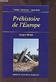 Préhistoire de l'Europe : Des origines à l'âge du fer