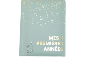 DOMIVA - MON LIVRE DE NAISSANCE SAUGE GOLD MES 5 PREMIERES ANNEES
