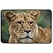 Produktbild CehTureal Carpet Lion Lioness Look Predator Doormat Indoor Outdoor EntranceFloor Mat Bathroom 23.6 X 15.7 Inch