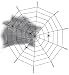 Produktbild Spinnennetz Spinnen Netz Deko-Set Halloween ca. 90 cm