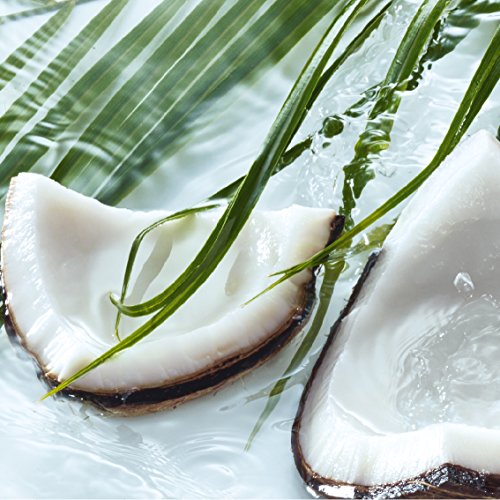 Eau de Toilette Kokosnuss (20 ml): Eine süße Verführung – mit dem sinnlichen Duft der Kokosnuss - 2