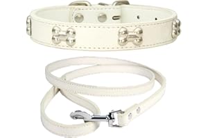 NEUSOP Collare Cane in Pelle Regolabile Guinzaglio per Cani, Collare per Cani, Collari per Cani Gatti Cucciolo Collare per Animali Domestici XS