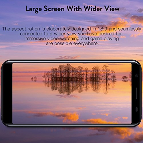 Smartphone In Offerta, DOOGEE X55 3G Dual SIM Android 7.0 Telefonia Mobile, 5.5 Pollici 18:9 Display, 1GB RAM 16GB ROM, Processore Quad Core, Fotocamera Posteriore da 8+8MP, Impronta Digitale - Blu