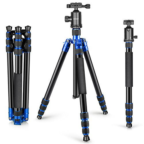 Neewer Aluminum Legierung 65 Zoll / 165 cm Stativ Einbeinstativ mit 360-Grad-Kugelkopf, 1/4 Zoll Schnellwechselplatte, Tragetasche fr DSLR-Kamera, Video-Camcorder, bis zu 33 Pfund / 15 kg (blau) Neewer Aluminum Legierung 65 Zoll / 165 cm Stativ Einbeinstativ mit 360-Grad-Kugelkopf, 1/4 Zoll Schnellwechselplatte, Tragetasche fr DSLR-Kamera, Video-Camcorder, bis zu 33 Pfund / 15 kg (blau)