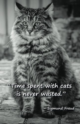 Download Time spent with cats is never wasted