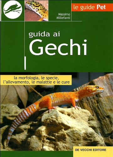 Guida ai gechi