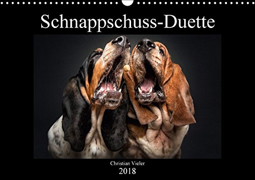 Schnappschuss-Duette (Wandkalender 2018 DIN A3 quer): Hunde schnappen nach Leckerchen - erstmalig zu zweit vor der Kamera. (Monatskalender, 14 Seiten ) (CALVENDO Tiere)