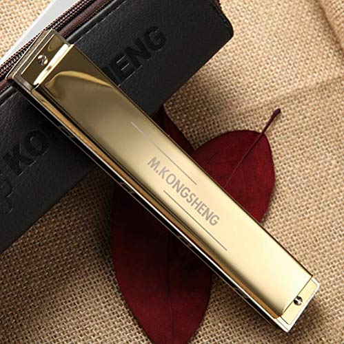 Preisvergleich Produktbild YAMEIJIA Mundharmonika 24-Loch-Polyphonic Sound professionelle Leistung C-Harmonika,Metallic