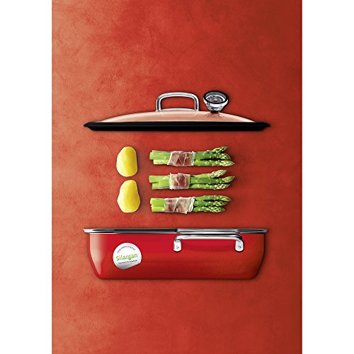 Silit Dampfgarer 35,6×18,4×33,3 cm ca. 6,7l ecompact Energy Red Made in Germany Glasdeckel mit Silikonrand und Thermometer Silargan Funktionskeramik induktionsgeeignet spülmaschinengeeignet - 5