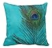 Produktbild MOISES GOODWIN Aqua Peacock Feather Still Life Custom Zippered Pillow Cushion Case Throw Pillow Covers 18"x18"(one Side)