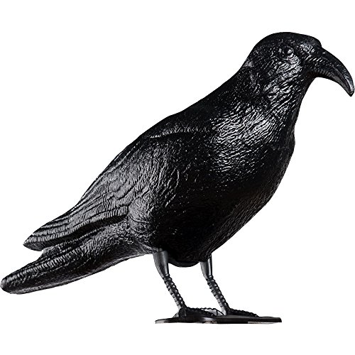 Taubenschreck Krähe schwarz – 3x - 4