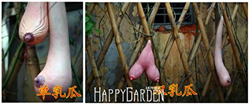 Ausgewählte hochwertige Vietnam Kürbis Samen hängen Brüste Melone Spaß Gemüsesamen für DIY Hausgarten, 50 Samen / Los, # GB78HK - 3