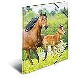 Hersteller: Herma Herma 7145 Sammelmappe A3 PP - Pferde, 5 Stück