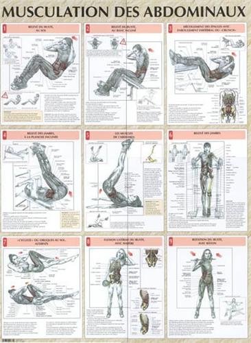 Download Musculation des abdominaux : Poster Download Musculation des abdominaux : Poster