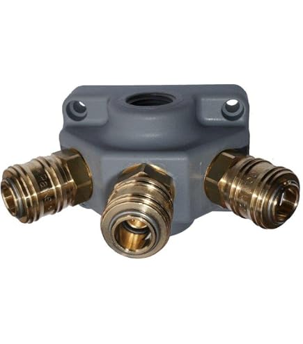 Distributeur D'Air Comprimé 2 Prises - Raccords Laiton 1/4" - Pression Max 20 Bar - NW7.2