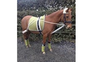 CWELL HORSE/COB/PONY PESSOA TYPE TRAINING AID + BODY ROLLER