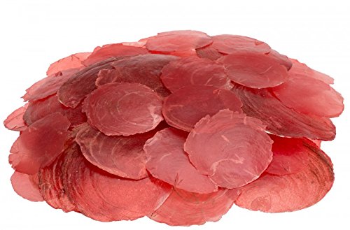 NaDeco® Camar rot 0,5kg | Capiz | Perlmuttscheiben | Hochzeitsdekoration | Maritime Dekoration