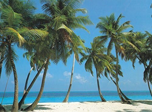 Bahama Breeze 1829 Wall Mural HUGE 12ft. 6in. Wide X 9ft. High by Illusions Photo Wall