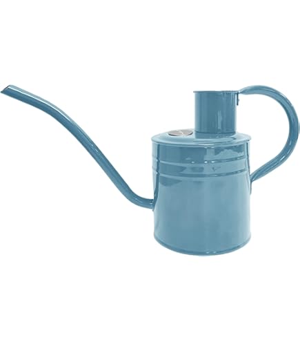 Kunststof gieter blauw 5 liter Kunststof gieter blauw 5 liter