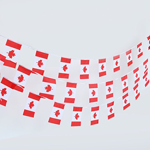 MagiDeal 10m Canadian Country Flag String Bunting Banner Garland Outdoor Garden Decor Pack of 30Pcs reviews MagiDeal 10m Canadian Country Flag String Bunting Banner Garland Outdoor Garden Decor Pack of 30Pcs