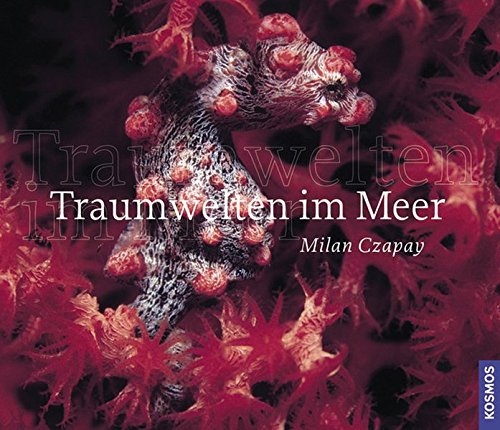 Download Traumwelten im Meer Download Traumwelten im Meer