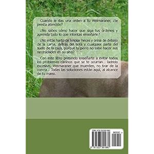 Secretos del Weimaraner: Perro-Obediente.com