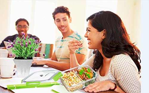 SELEWARE Lunchbox Kinder Glas mit Fächern Auslaufsicher Frischhaltedosen lock mit Deckel Mikrowellengeeignet 100% BPA frei Lebensmittelbehälter Groß Lebensmittelbox Frischhaltebox Bento Box Ofen Gefrierschrank Spülmaschine Safe für Erwachsene Rechteck Grün 1040ML - 7