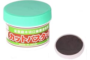 Geosism & Nature Bonsai Paste - Grün, 190grm, Ton, Lufttrocknung, Modellierwerkzeug, Anleitung, Bonsai Baumpflege und -gestaltung, 0.44 pounds