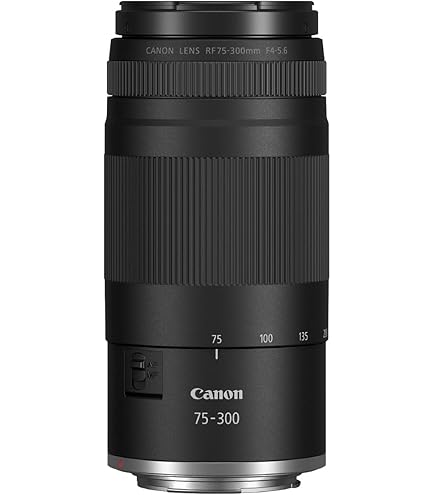 Canon EF 75-300 mm F4.0-5.6 III Zoom Lens Black & EF 50 mm