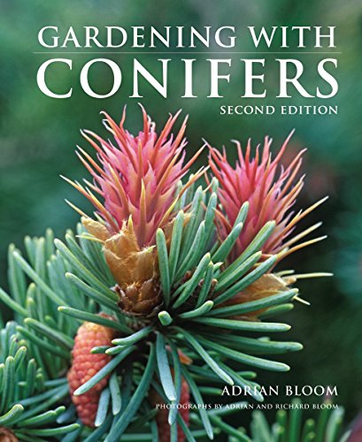Gardening with Conifers