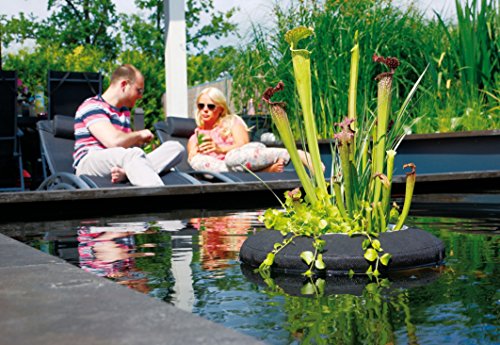 Velda 127572 Treibende Pflanzinsel für den Teich, Ø 25 cm, Rund, Floating Plant Island - 2