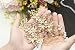 Gracewedding Crystal Bridal Hair Pins Wedding Hair Accessories-Hair Clips Rhinestone Jewelry Headdress(pack of 5)