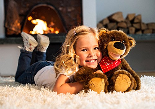 Preisvergleich Produktbild Brummel, der Geschichtenbär, ca. 40 cm