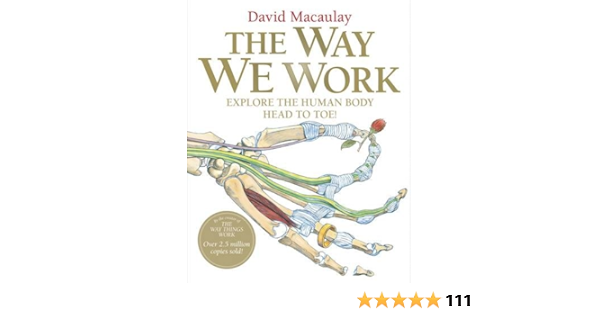 The Way We Work Amazon De Macaulay David Aves Beth Fremdsprachige Bucher