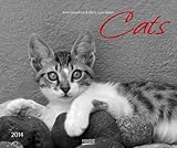 Cats 2014. PhotoArt Classic Kalender by 